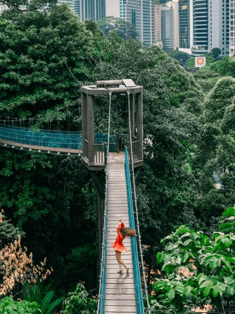 Cầu đi bộ Eco Forest ở Malaysia