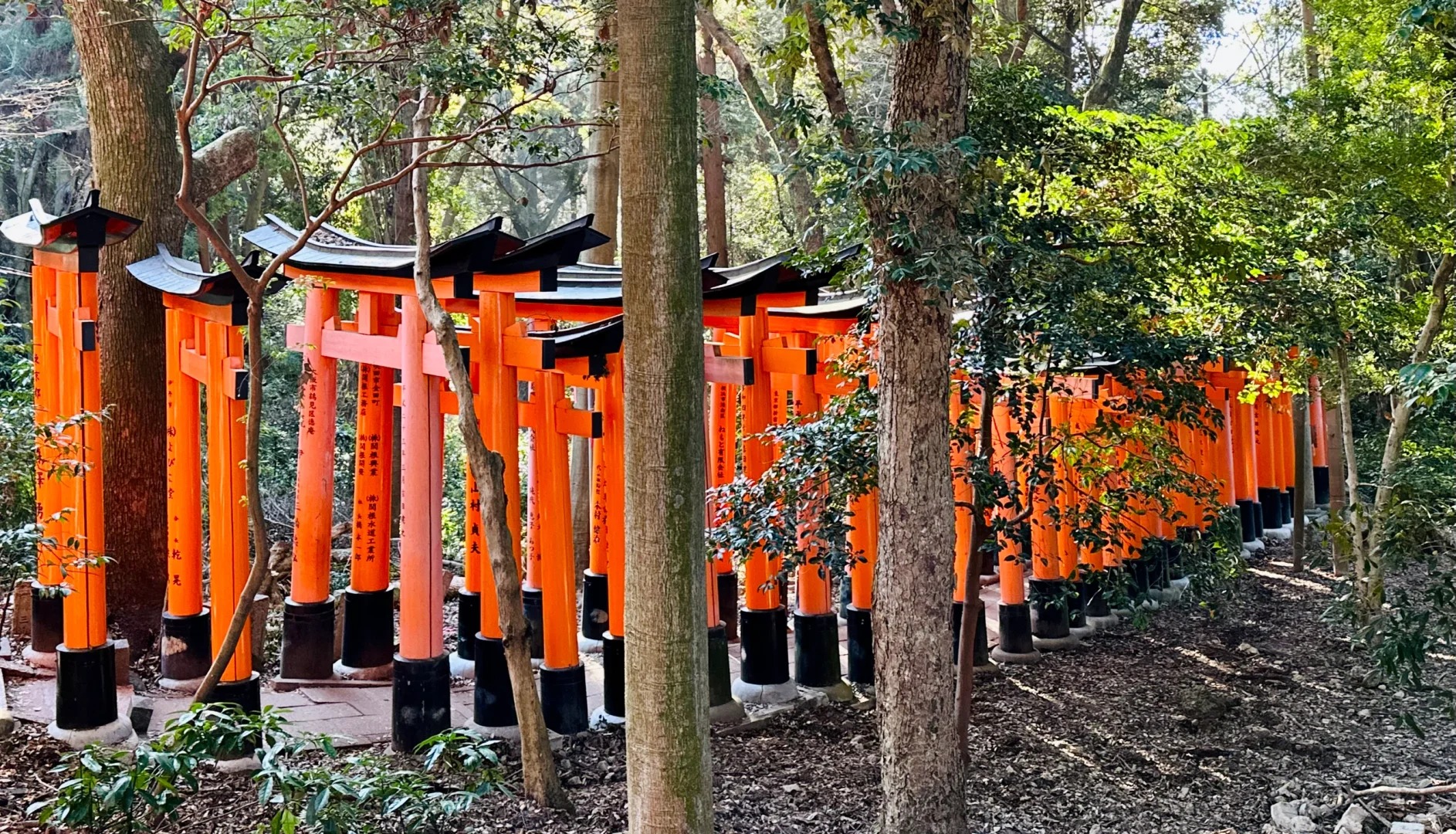 Fushimi Inari