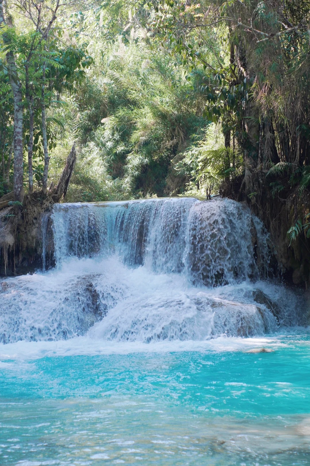 Thác Kuang Si Ở Luang Prabang, Lào